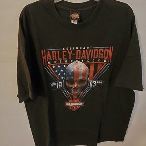 Harley Davidson men's T shirt, short sleeve Size 2X 100% cotton